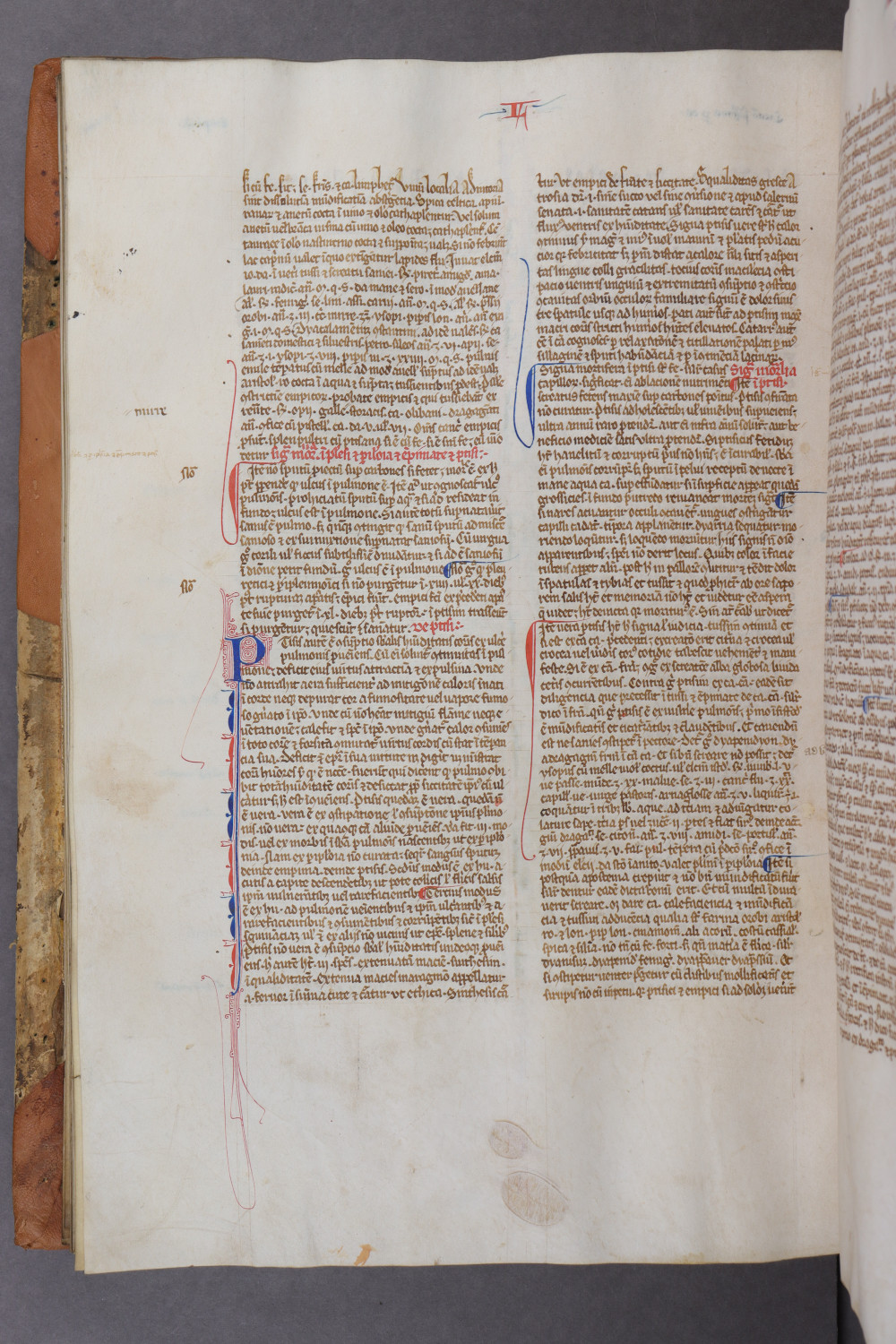 Folio 91 verso